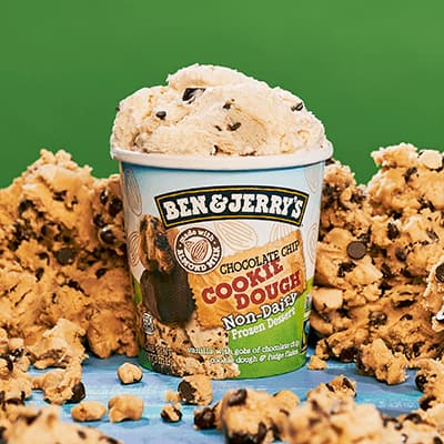 Pint of Chocolate Chip Cookie Dough Non-Dairy