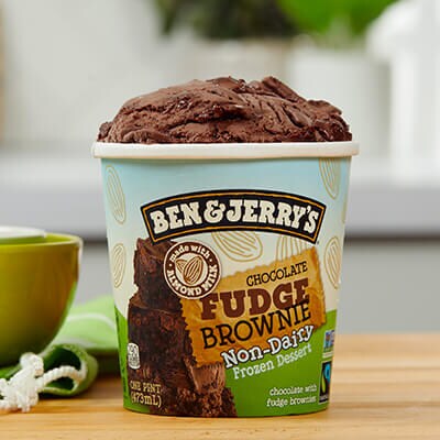 Pint of Chocolate Fudge Brownie Non-Dairy