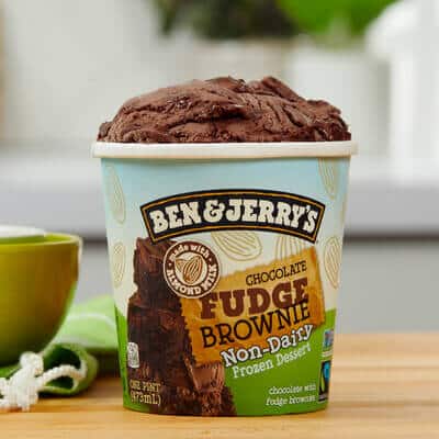 Pint of Chocolate Fudge Brownie Non-Dairy